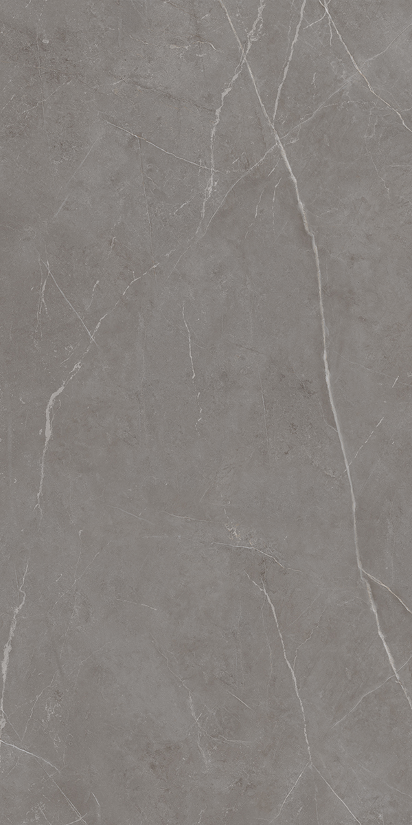 NL03 Nolana Dark Grey Неполированный Рект. 60x120x9 Estima фото 6