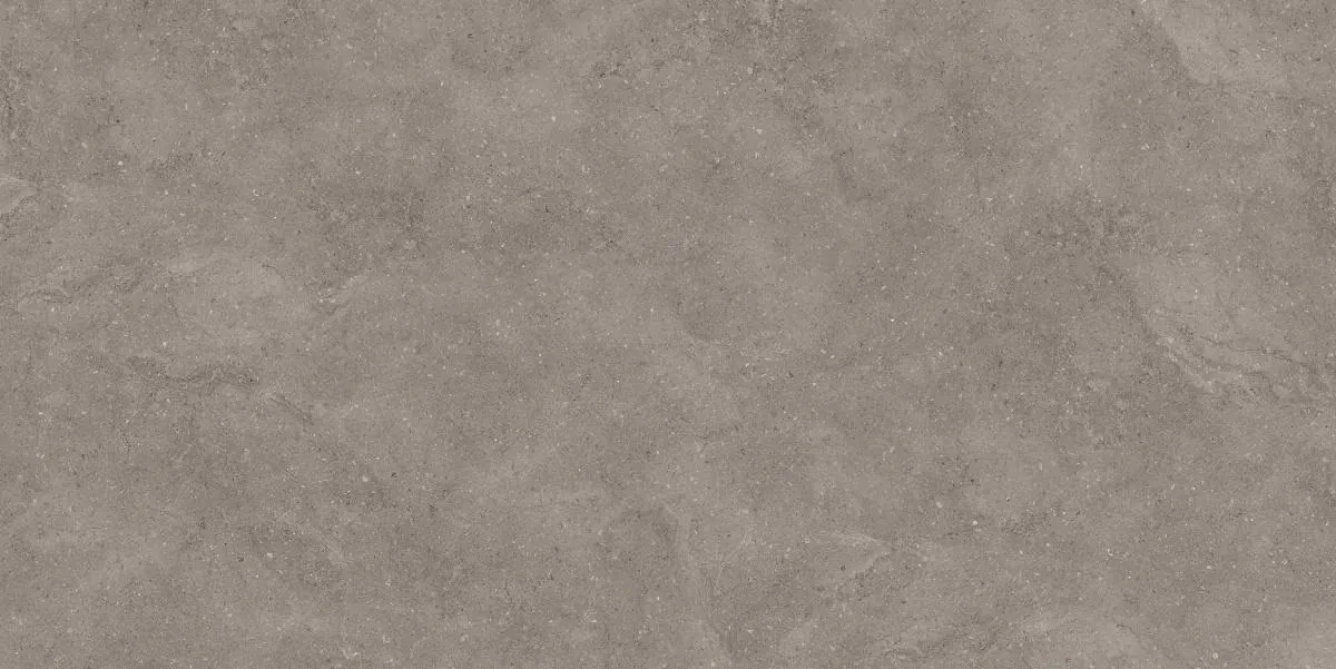 Бриджстоун Мокка ПРО светло-коричневый матовый структурный R10/A 80х160 Laparet