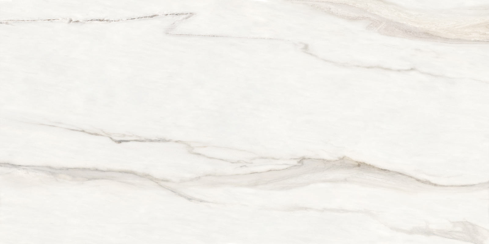 60120CMN01 Calacatta Monsoon Sugar 600x1200x9.5 Delacora