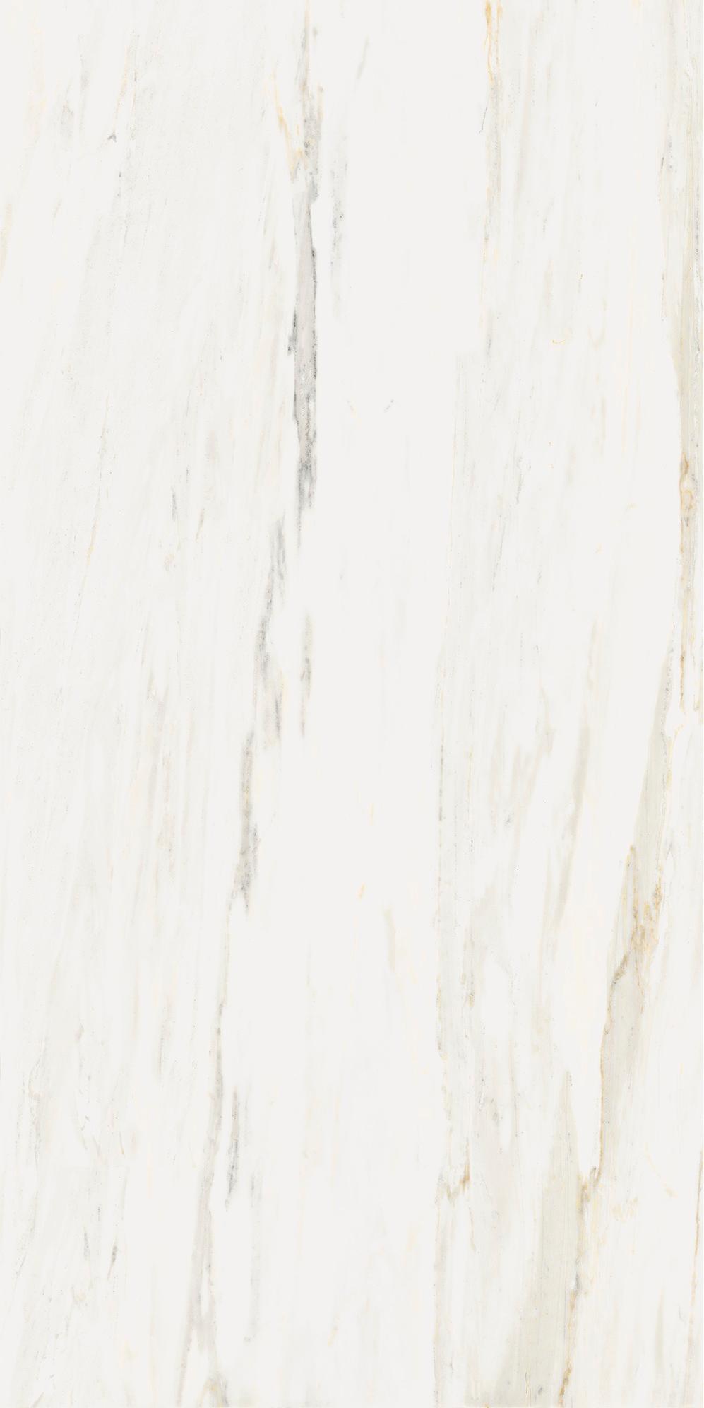 610010002833 Stellaris Carrara Ivory Nat Ret 60x120 Italon