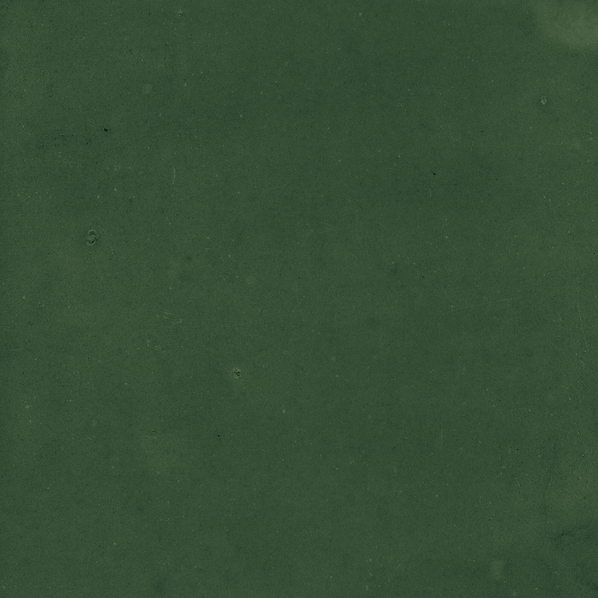 43289 Samira Green 10x10 Harmony фото 40