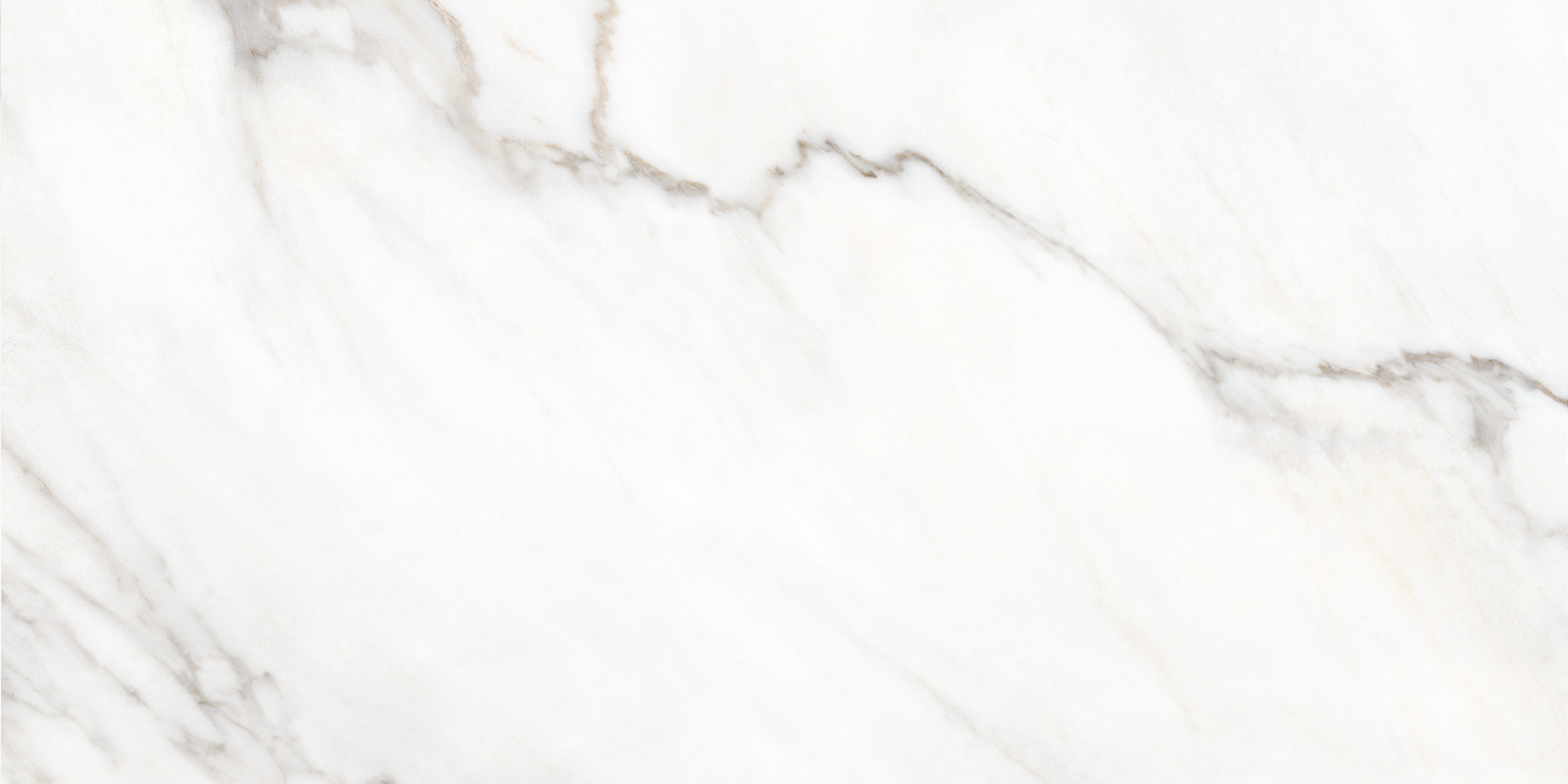 WT36AUU00 Aurea 300x600x9 New Trend