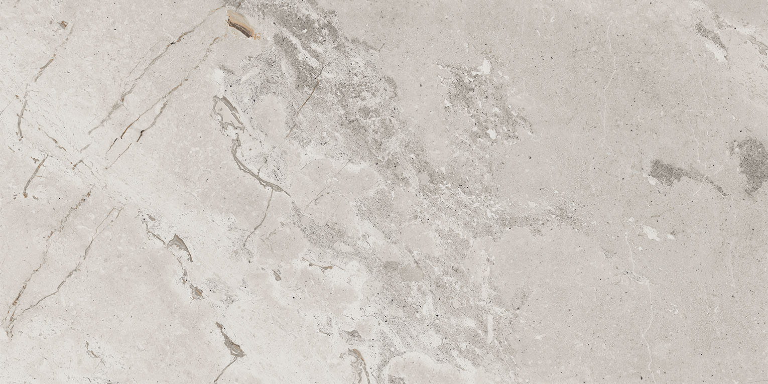 93453 Karnis Silver Matt 60x120 Cerdomus