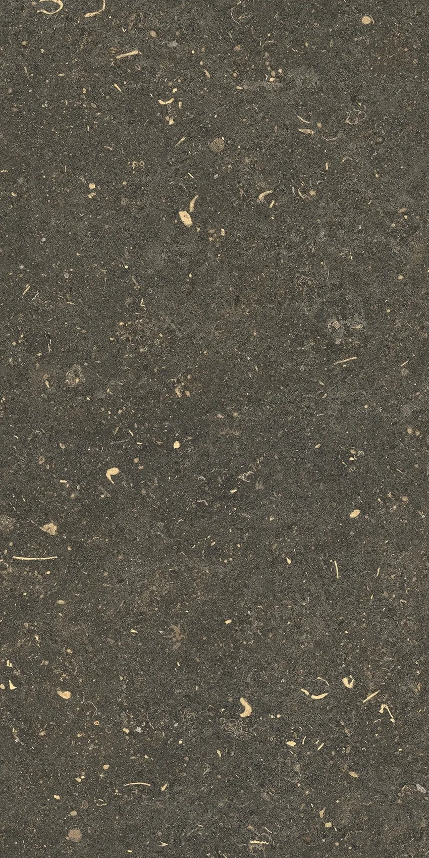 785491 Rinascenza Arena Platino Matte 30x60 Casa Dolce Casa