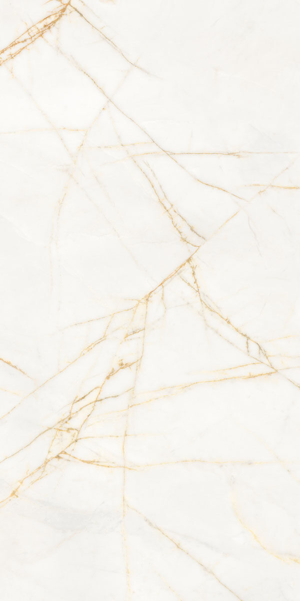 PF60017518 Supreme Hedonism Golden Spider Nat R 60x120 Flaviker