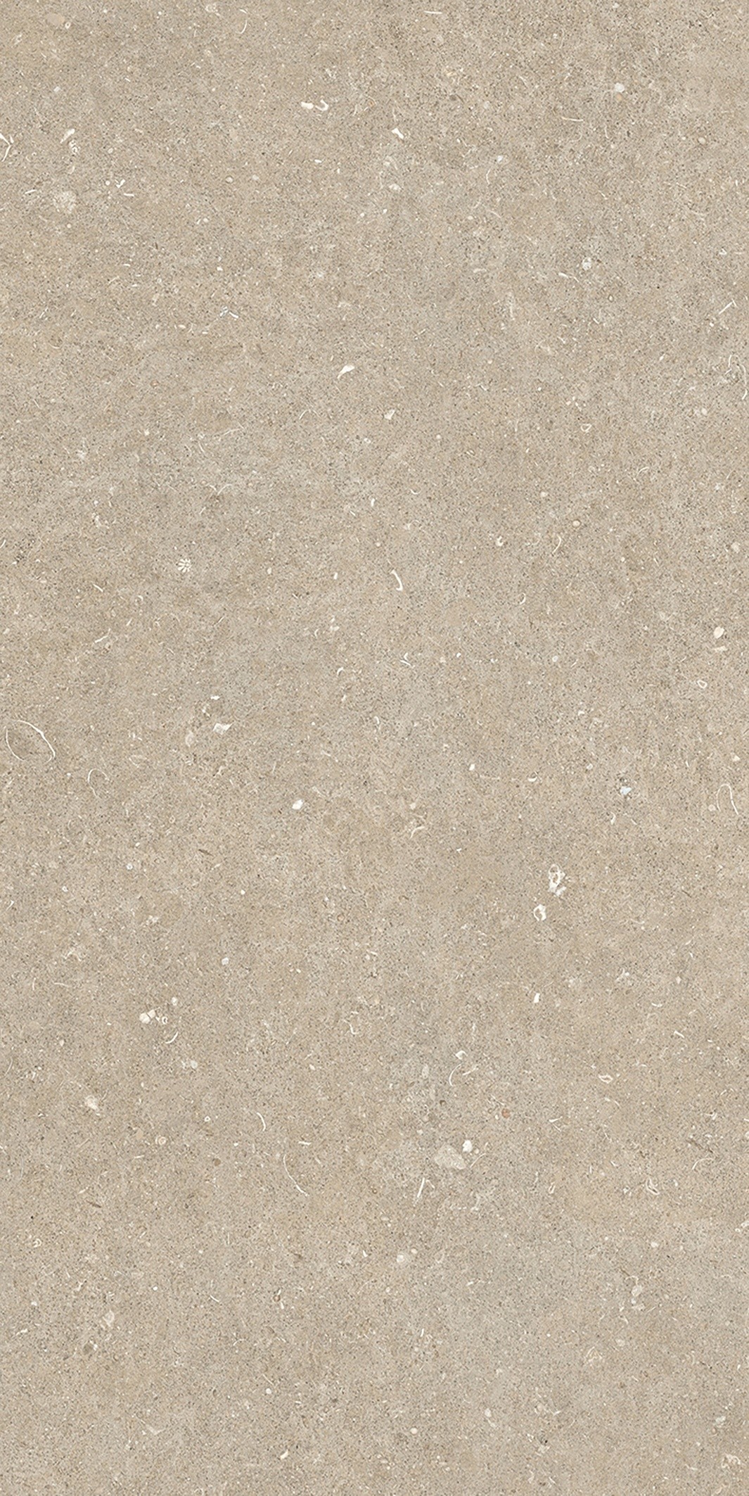 785575 Rinascenza Arena Conchiglia Matte 6mm 60x120 Casa Dolce Casa фото 7