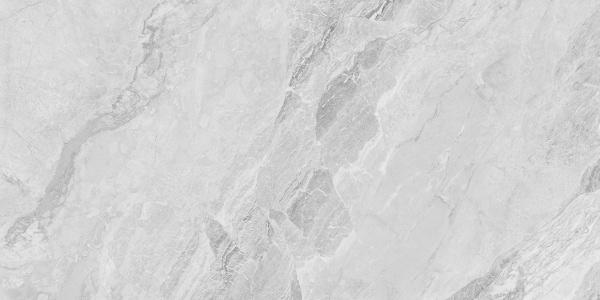 230101 Light Grey Polished 60x120 Concor