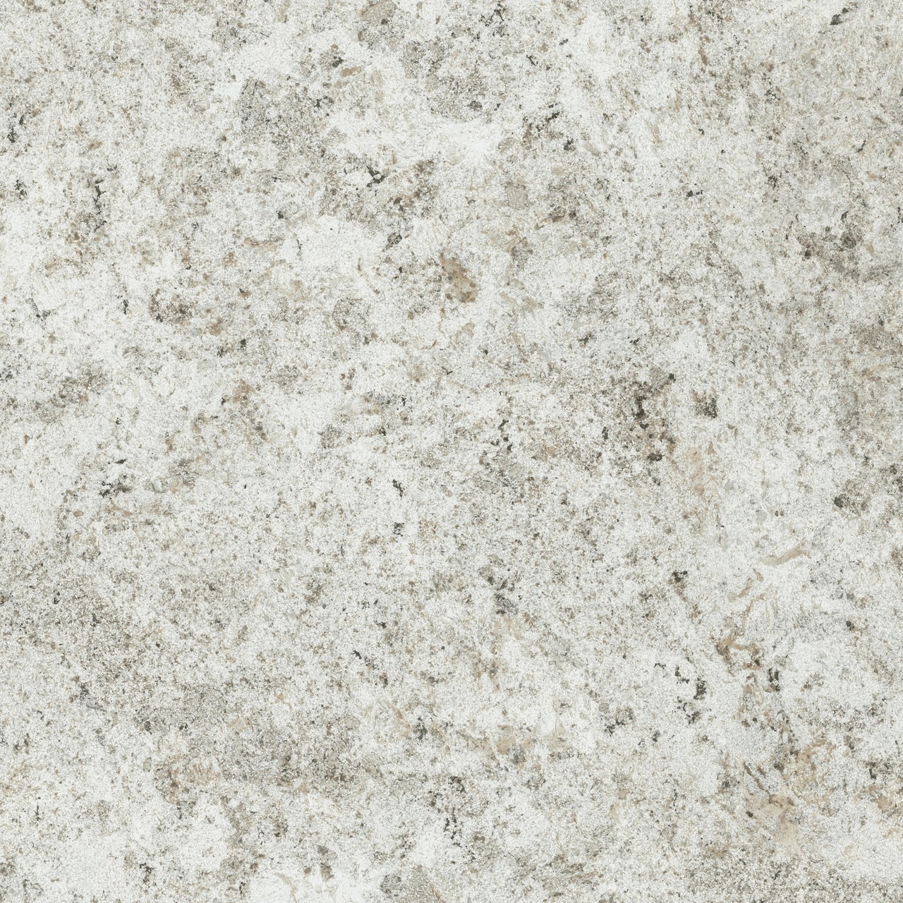 610010003163 F.d.M.Quark Brazilian White Lastra 20mm 60x60 Atlas Concorde Russia
