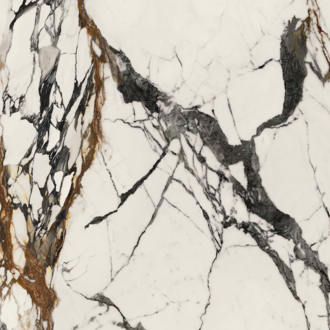 100331132 Xlight Paonazzo Biondo Polished 120x120 Porcelanosa фото 3