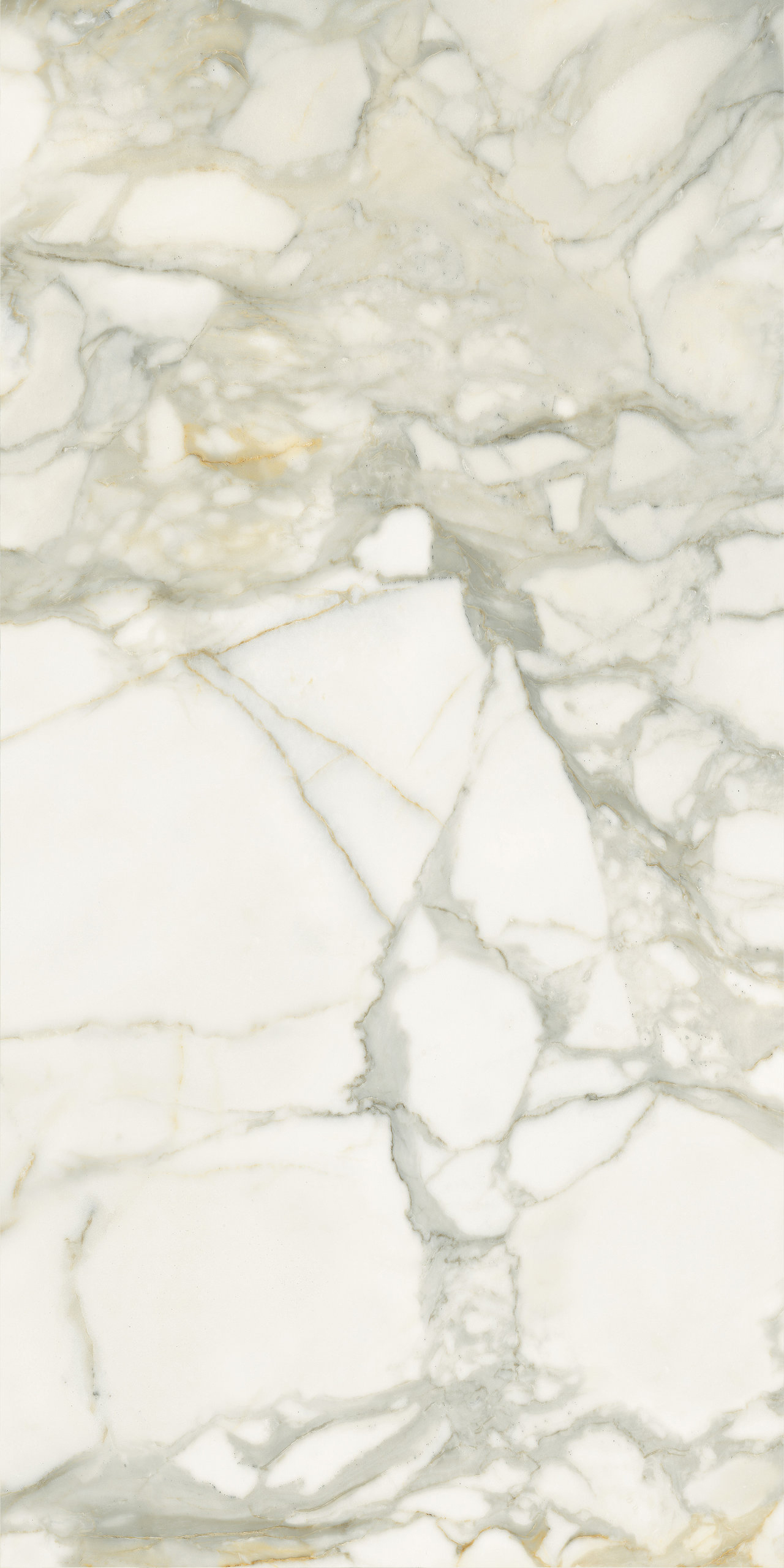 P628365 Calacatta Oro Natural 8mm 60x120 IRIS FMG фото 3