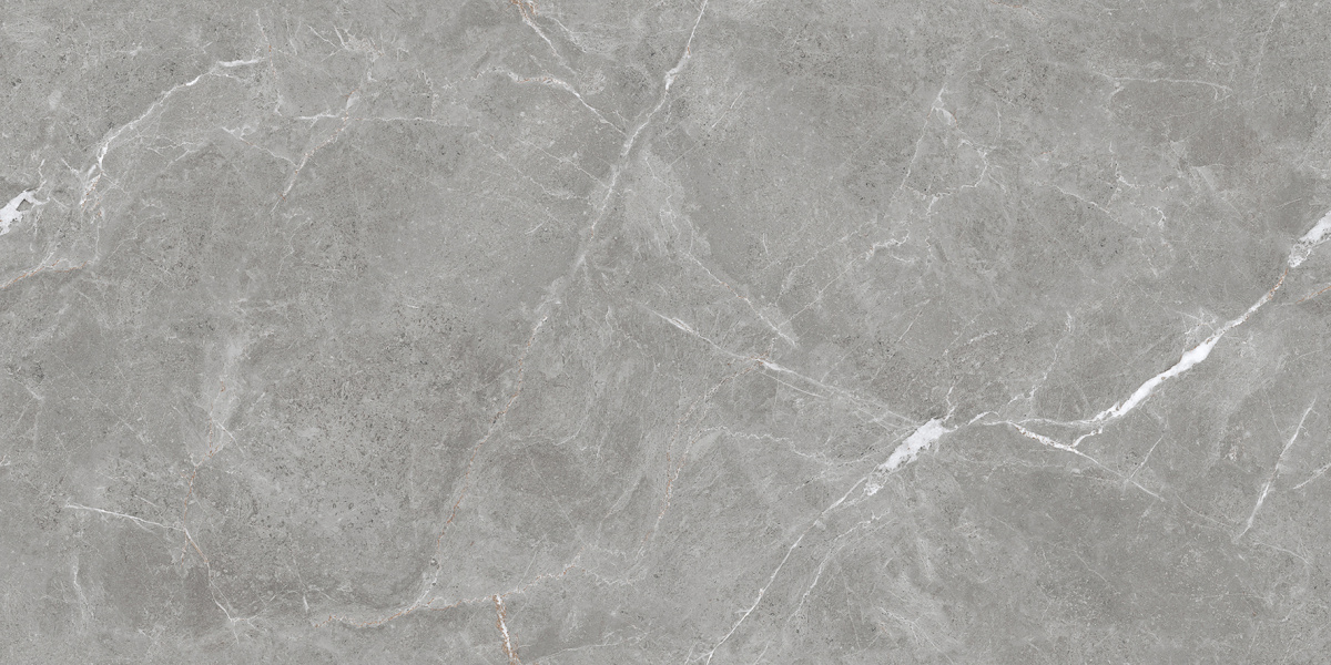 Stone Cool Grey Серый Матовый 60х120 Ceradim