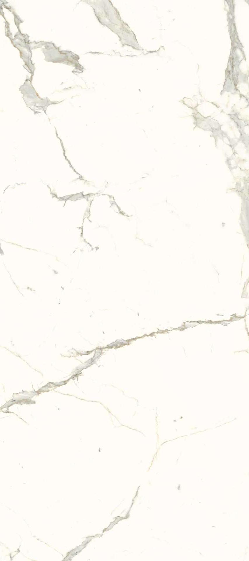 L2712332MF6 White Calacatta Luc 120x270 IRIS FMG