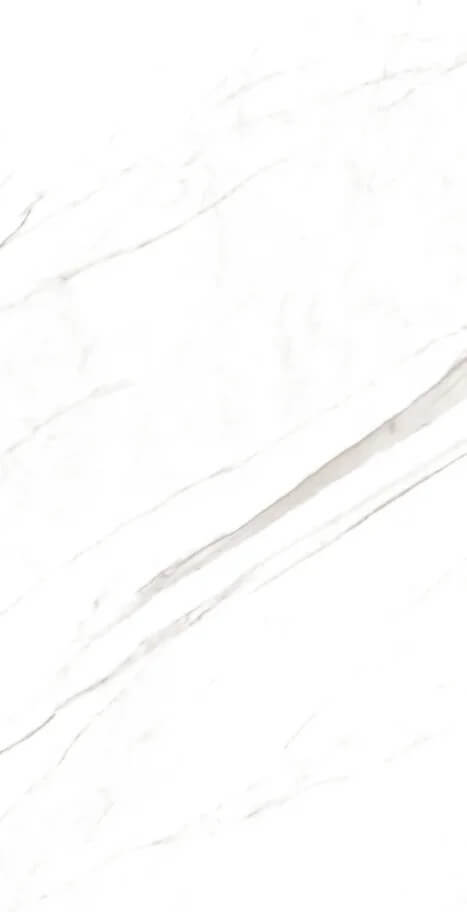 Marble Super Satvario 120x60 Artcer