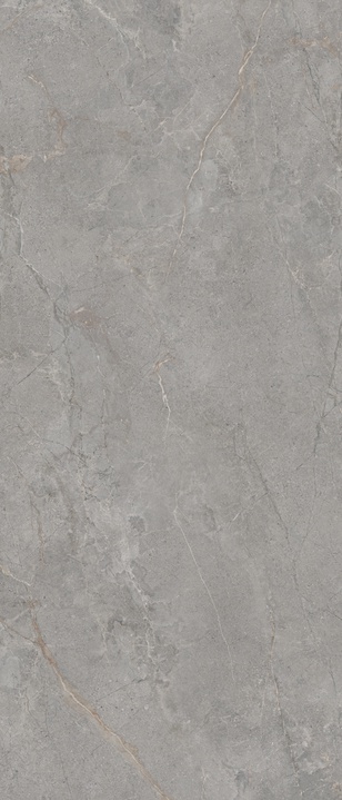 LS6AL40 Anthology Slimtech 04 Gray Natural RT 6mm 120x278 Lea Ceramiche