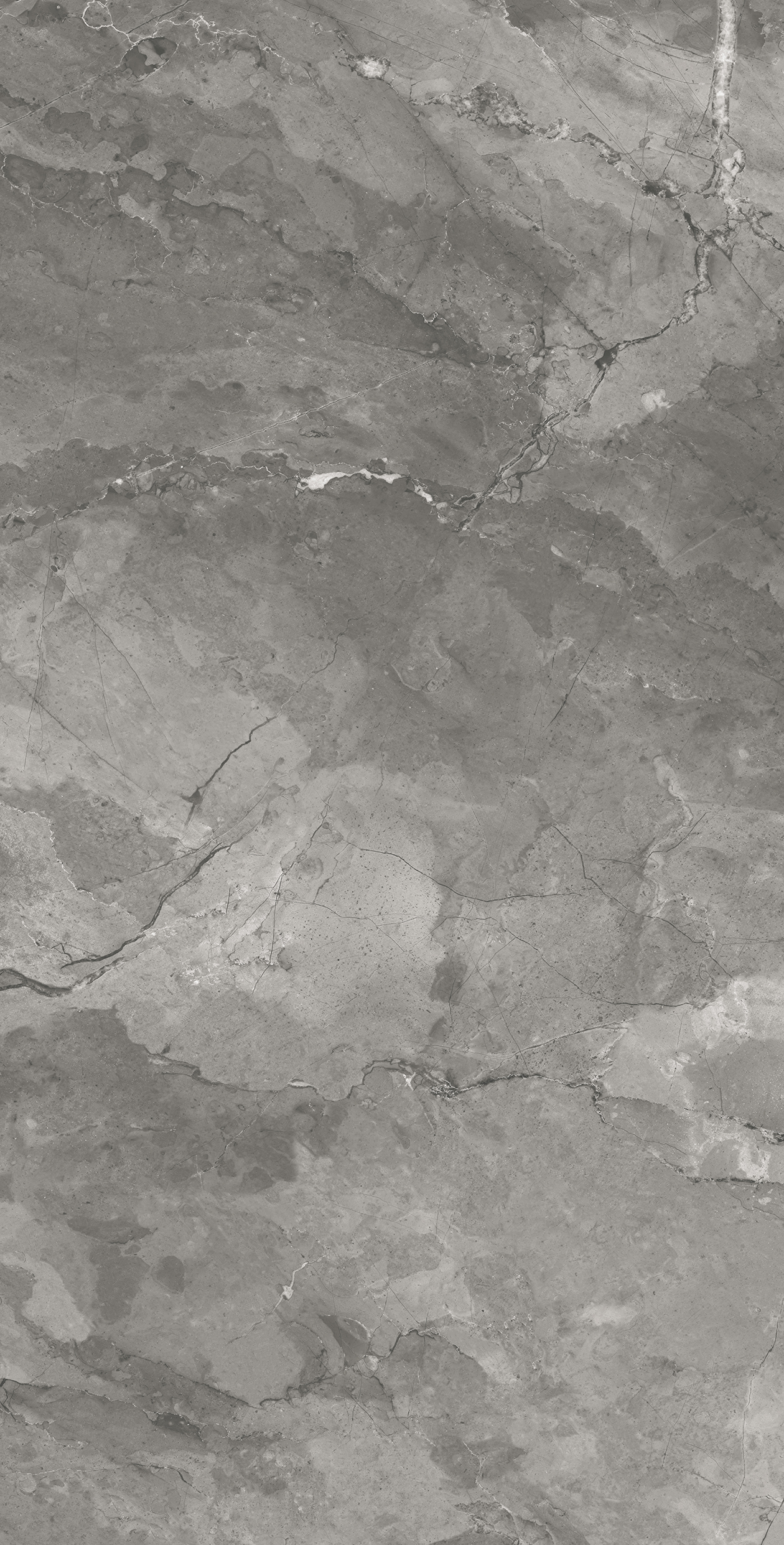 CR4030-A Bismanto Grey Carving 60x120 Arcadia Ceramica фото 2