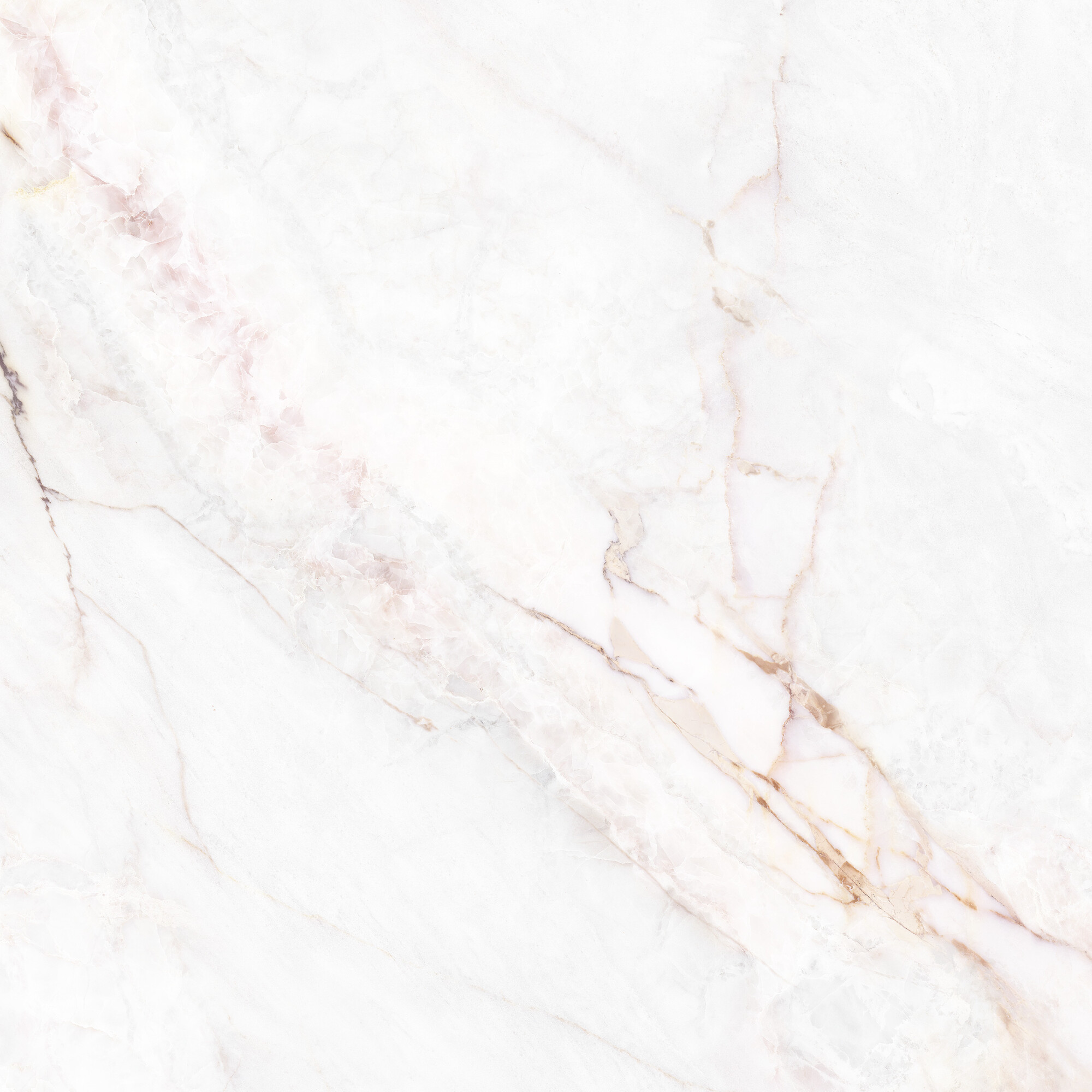 41431 Dahlia White SP/100X100X0,8/R 100x100 Peronda фото 10