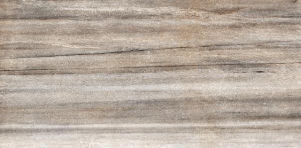 Seamount Brown Matte 60х120 Edilcuoghi