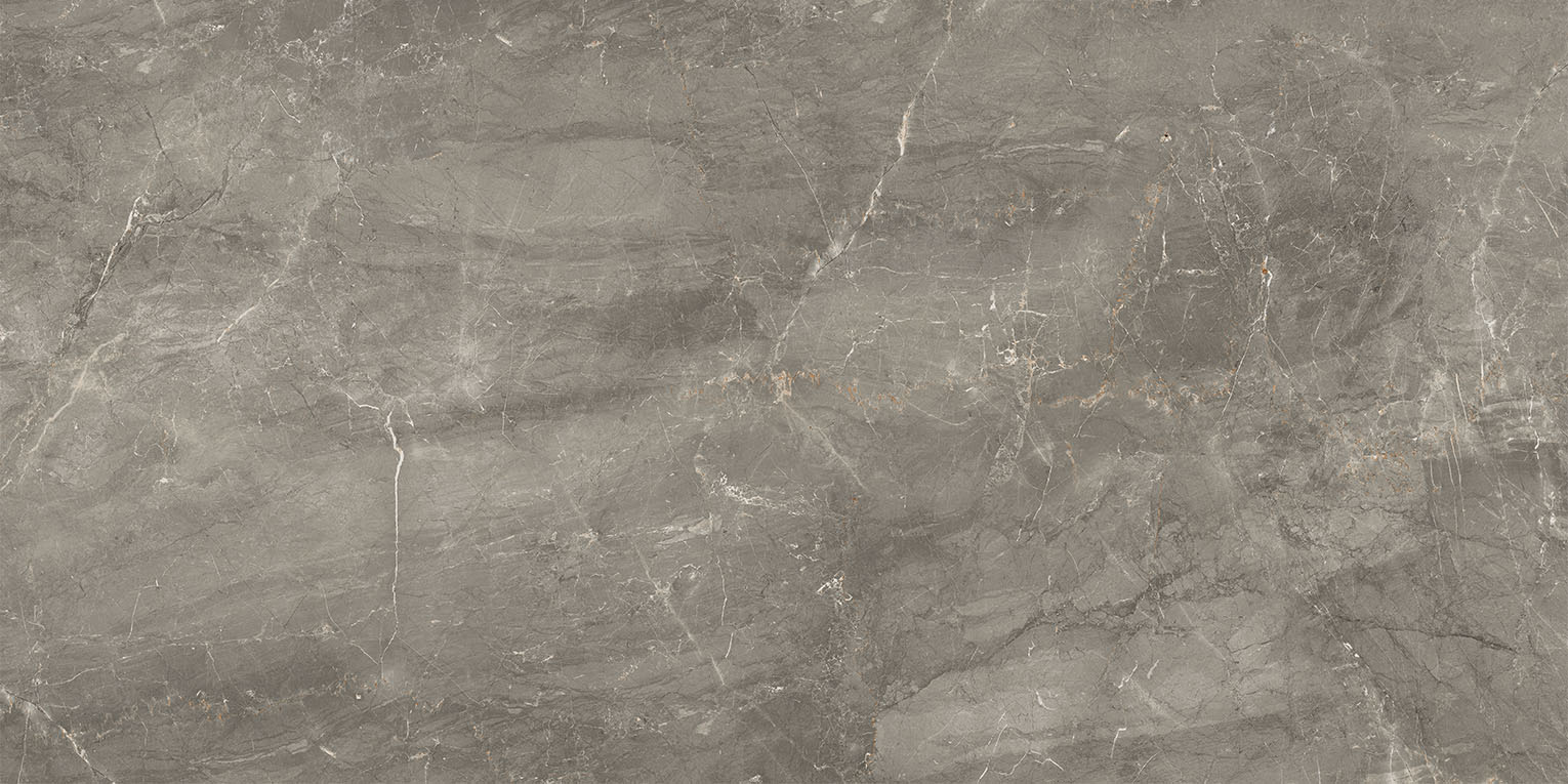 83346 Sybil Silver Levigato 60x120 Cerdomus фото 4
