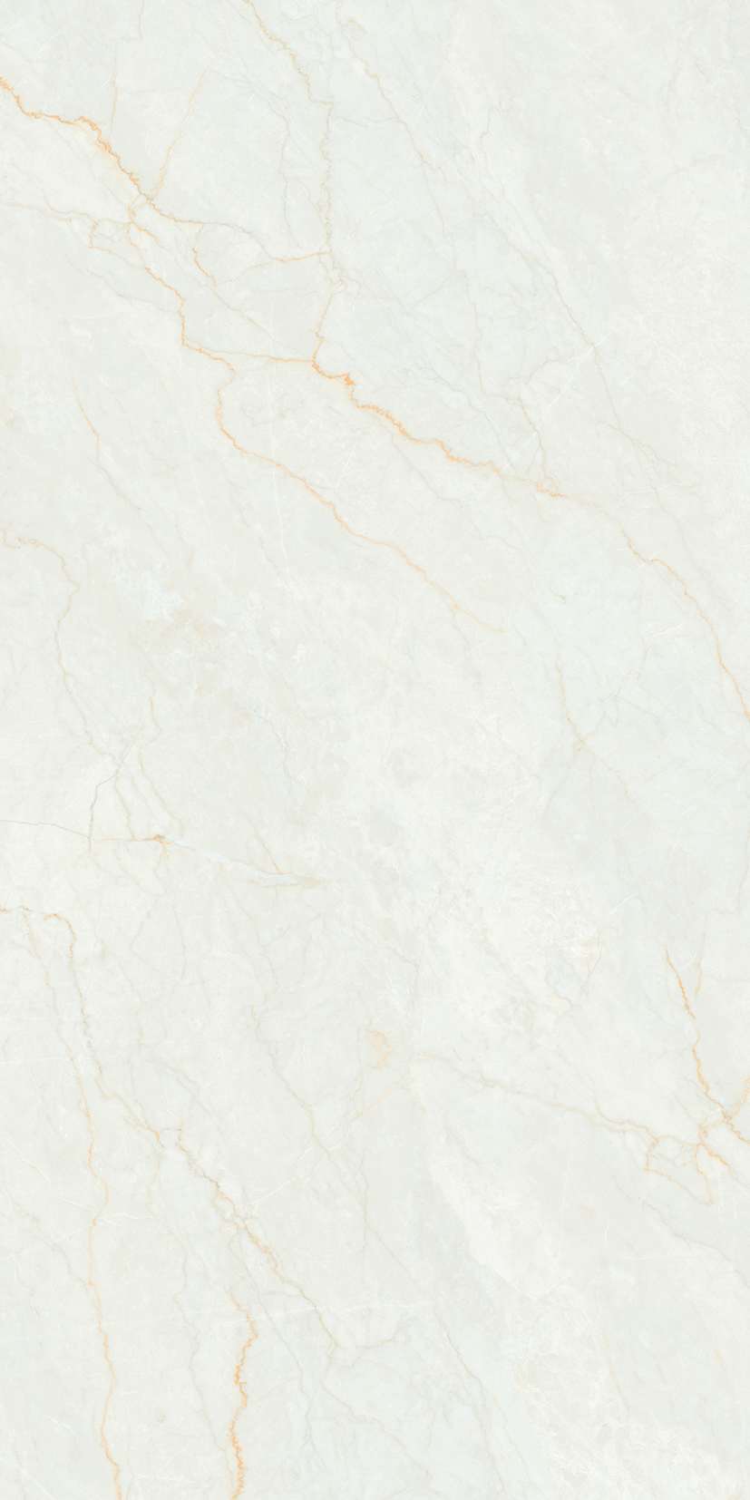 RC Roman Oro 2P River Carving 60x120 BELLEZA фото 14