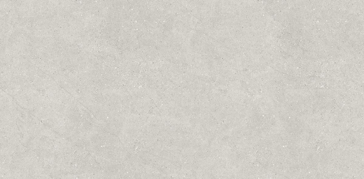 N110007 Liberty Grey Matt 60x120 Neodom фото 8