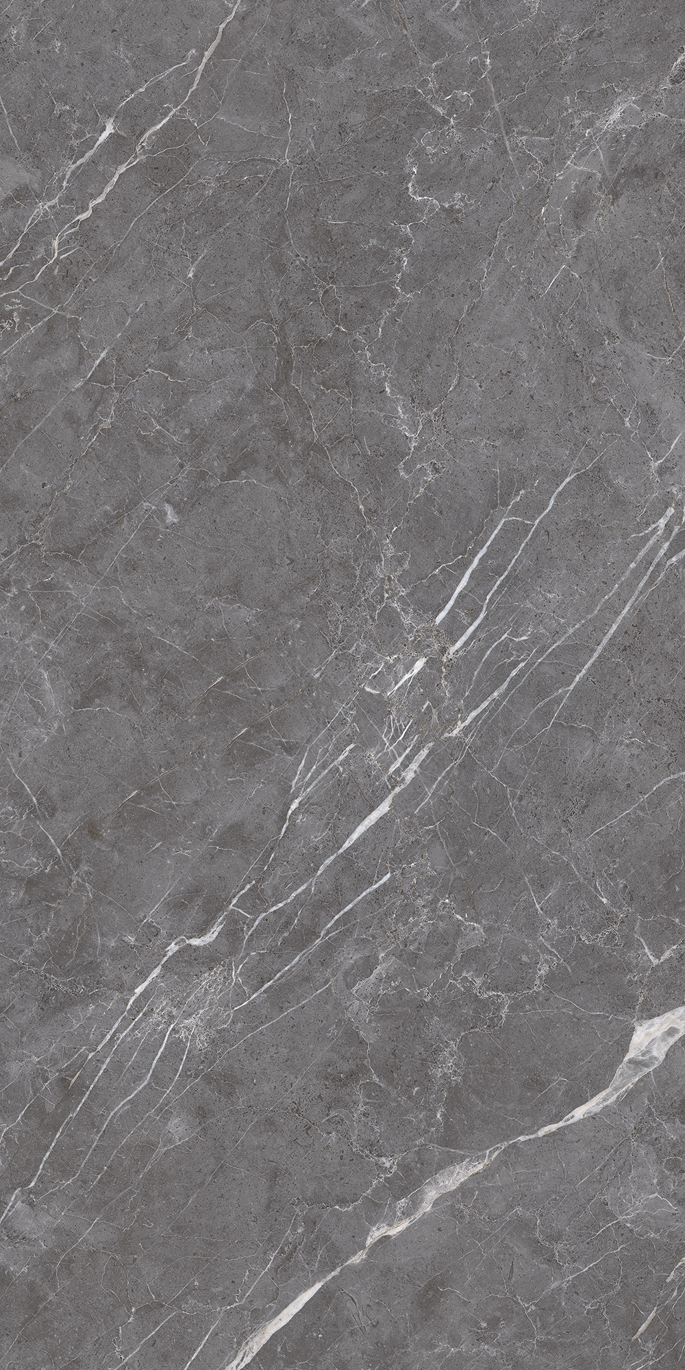CL4003-A Esperia Grigio Carving Lappato 60x120 Arcadia Ceramica