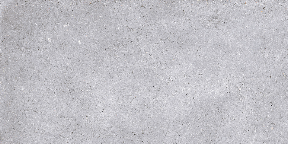 NR211 Nemo Light Grey 60x120 PrimaVera