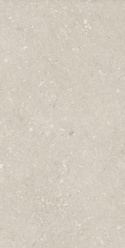 005486 Shellstone Beige 60x120 Dado Ceramica