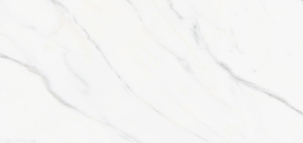 Appolo White Carving 60x120 Staro