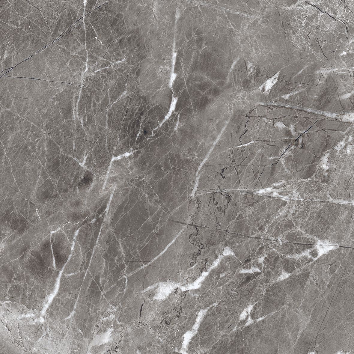 Шэдоу Темно-серый матовый 60x60 Realistik фото 5