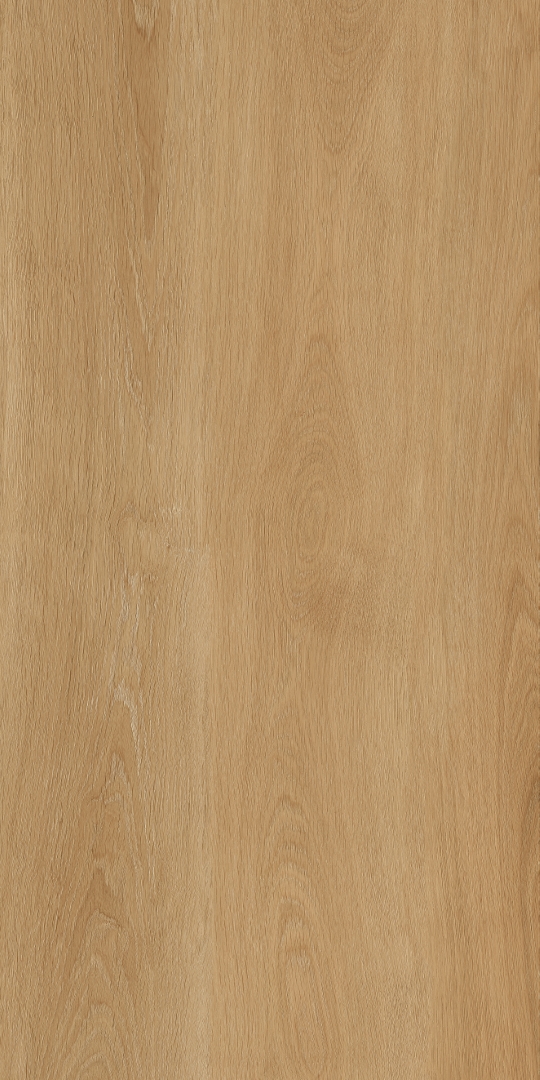 PT12F7041 Albero Beige Matt 1200х600х9 Protiles