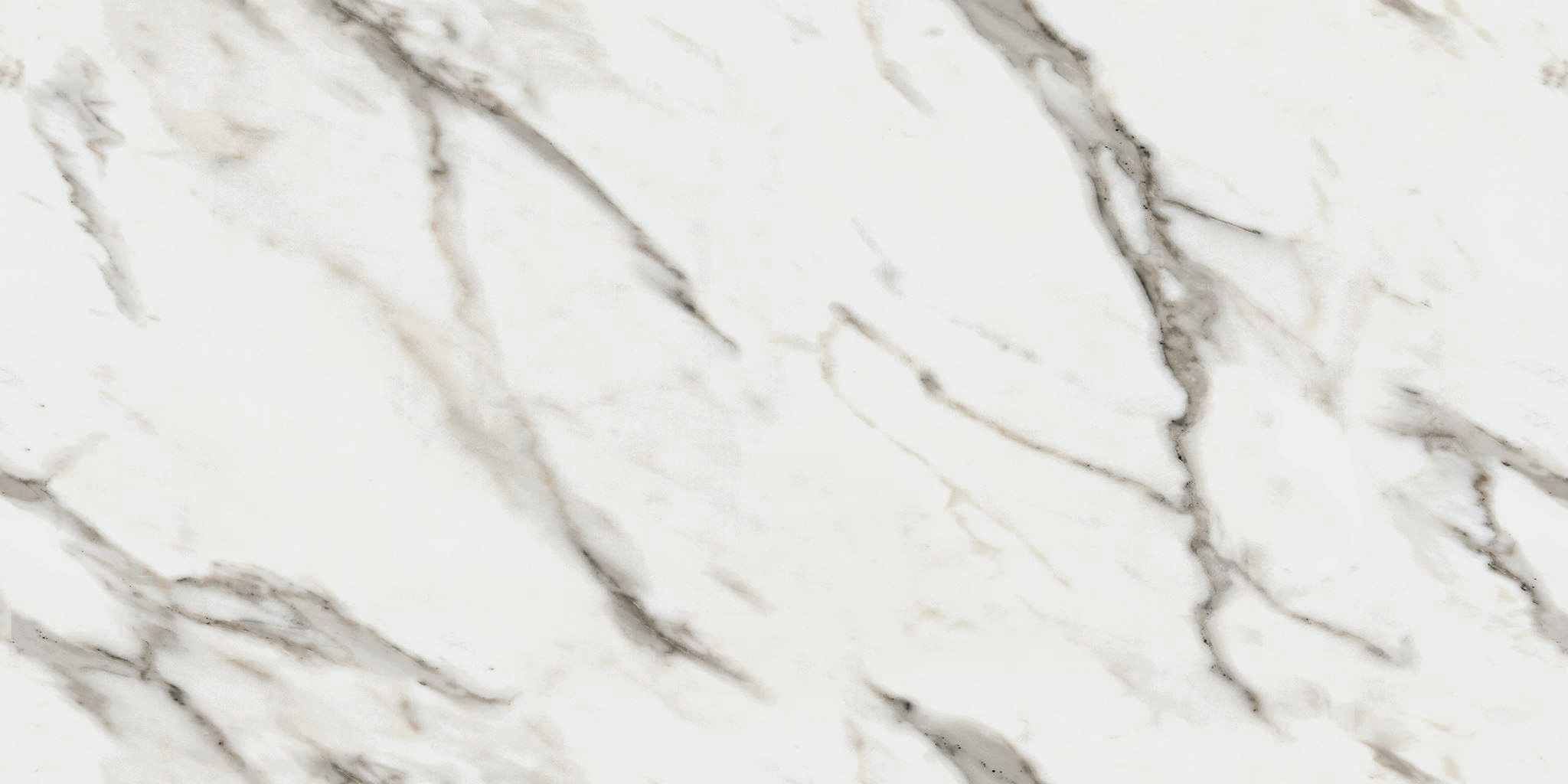 R_PR2005 Divine Calacatta Polished 60x120 Royce