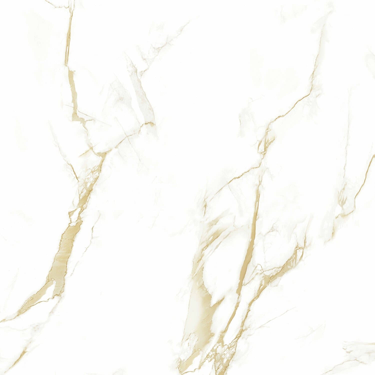 16604 Helion Polished 8mm 60x60 Pardis Ceramic Pazh
