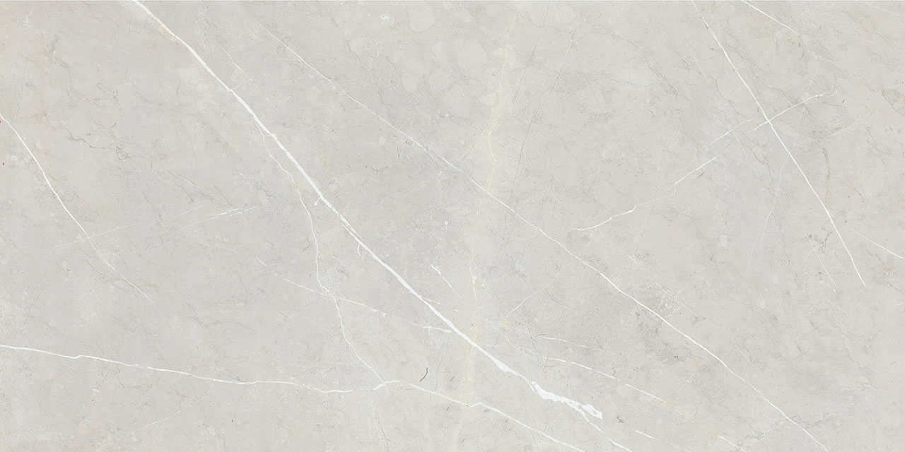BB612NTT9101P Bright And Shiny 60x120 NT Ceramic