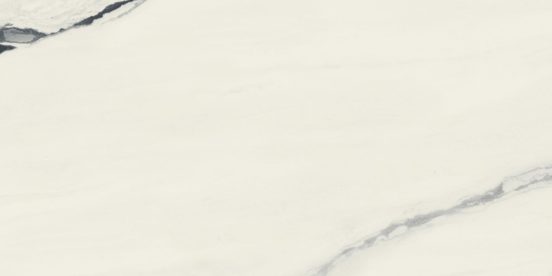 610010003172 Forte dei Marmi Panda White Matt 60x120 Atlas Concorde Russia