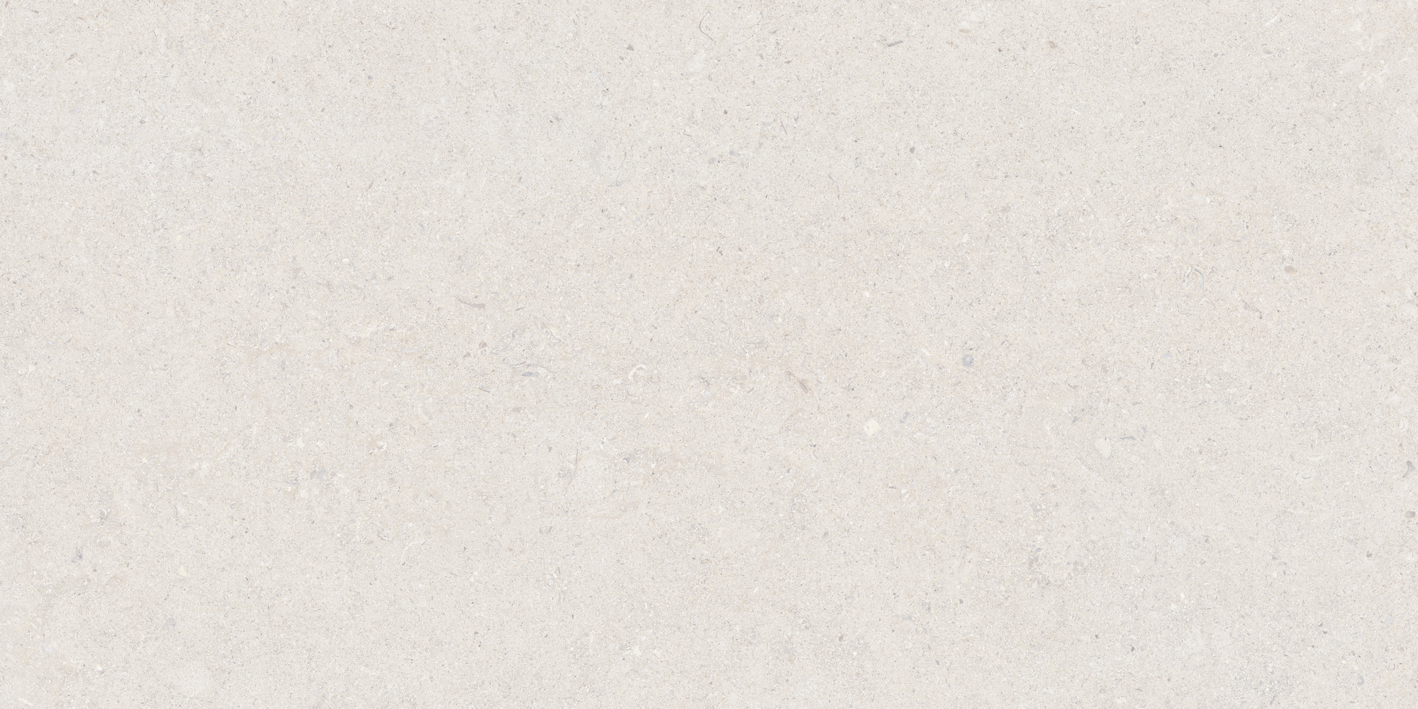 Calcare White 60x120 TAU Ceramica фото 6