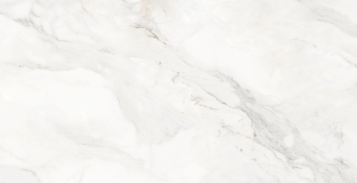 N9610T46 Damoon Gray Polished Rect 60х120 Novin Ceram Yazd Tile Co