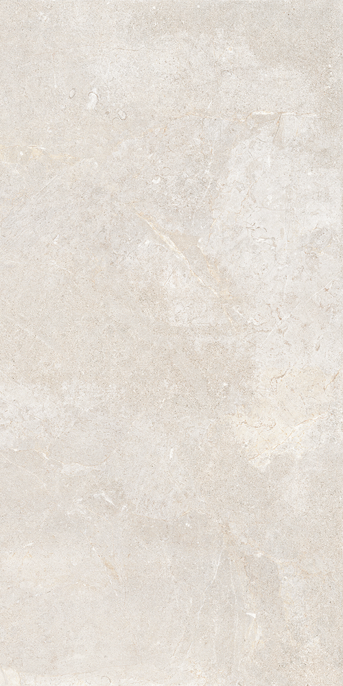 10893271 Everwhite Rett (P) 60х120 Cercom