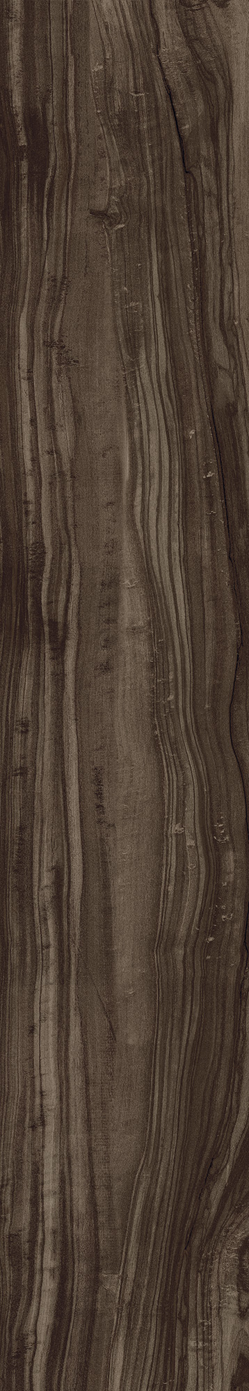 CW-CR01-B Pearsian Wood Charcoal Carving 20x120 Creanza