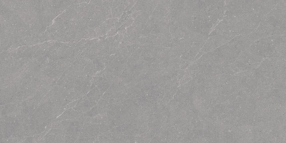 Elenta Grey Carving 60x120 Duna