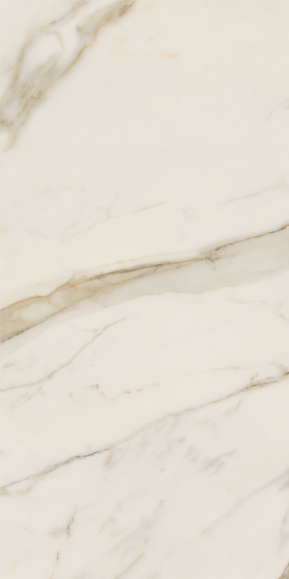 AIAT Golden White Matt RT 60x120 Caesar