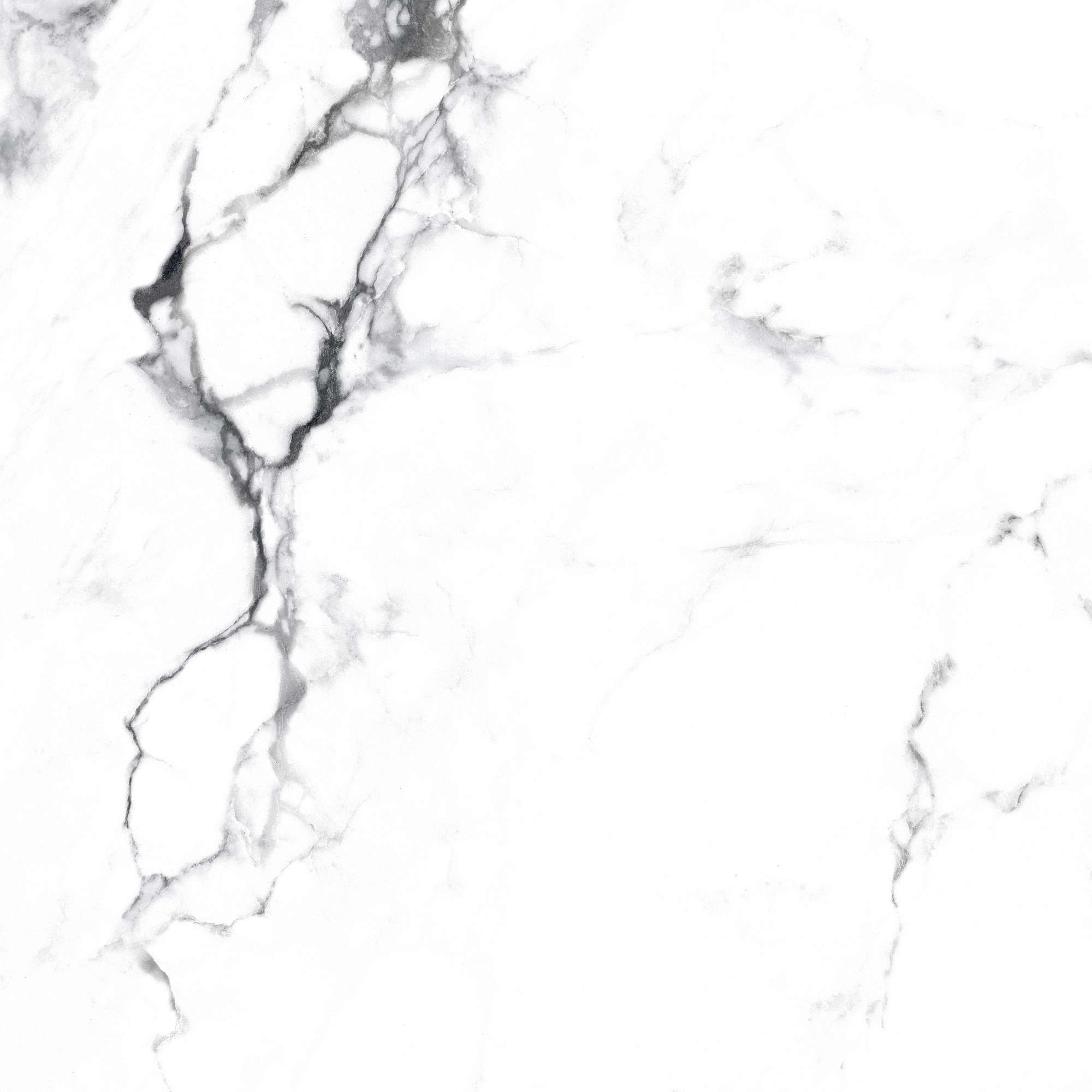 CR4006-A Borghini Silver Carving 60x60 Arcadia Ceramica