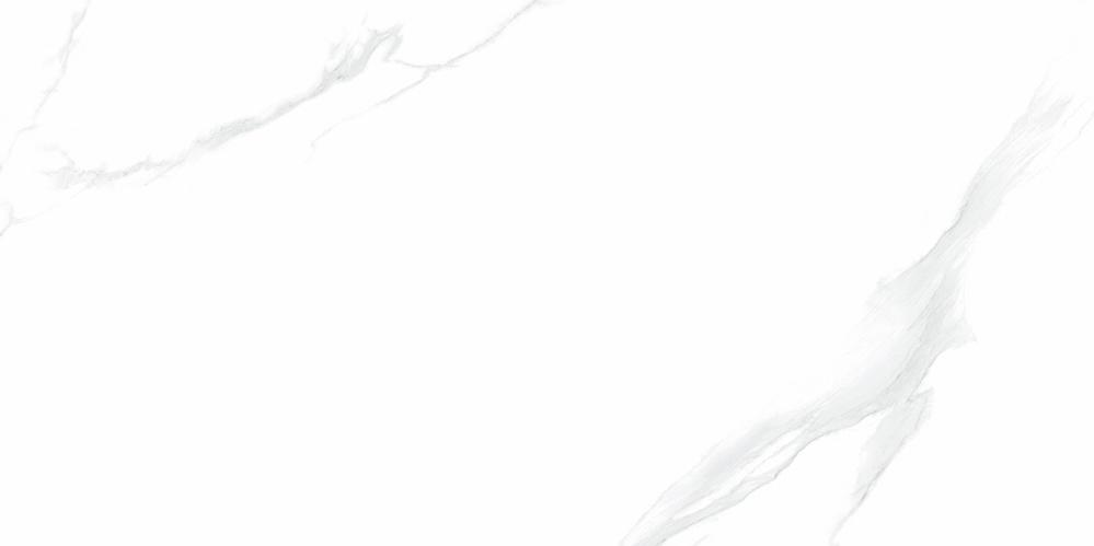 NTT9106P Statuario 60x120 NT Ceramic фото 3