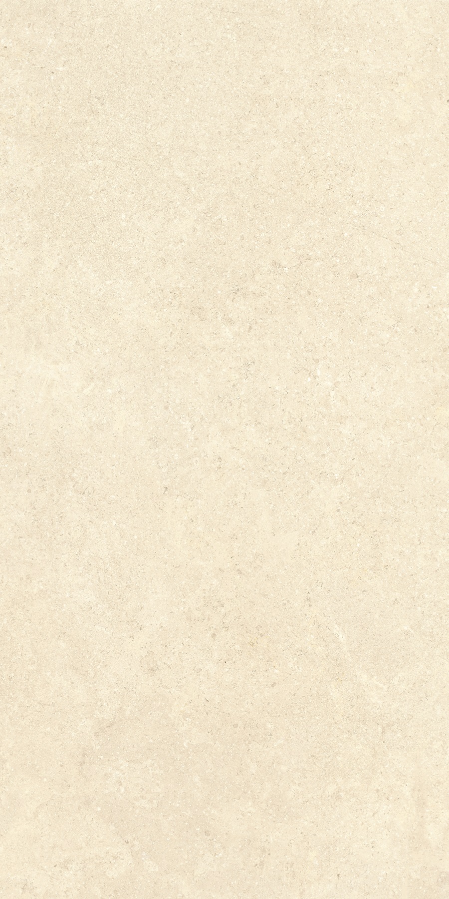 K948598R0001VTER SandStone Песочный Матовый R10A Ректификат 60х120 Vitra