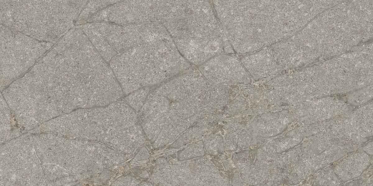 PF60011858 Supreme Memories Grey Soapstone Ant Ret 60x120 Flaviker