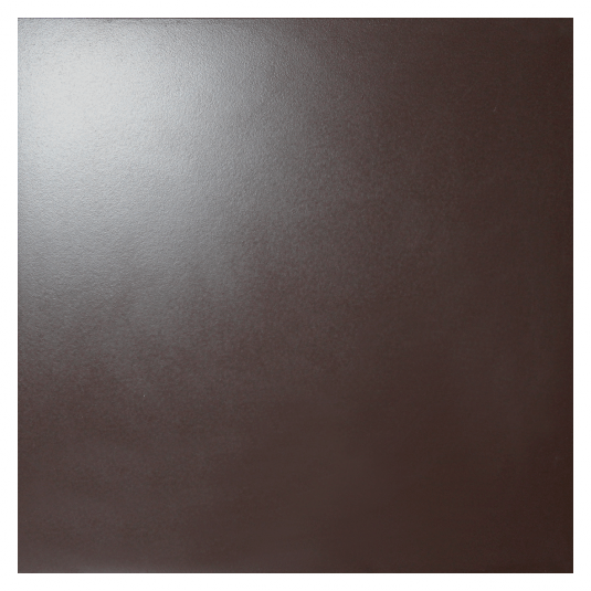10GCRР 0011 светло-коричневый полированный 60x60 Евро-Керамика