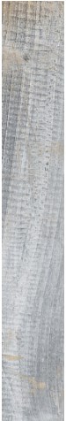 J87086 INWOOD SKY 15x100 RHS (Rondine) Ceramiche