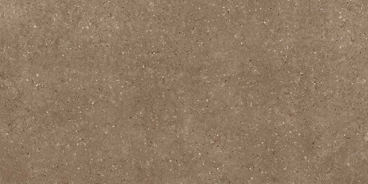G214 Arkaim Brown MR 60x120 Гранитея