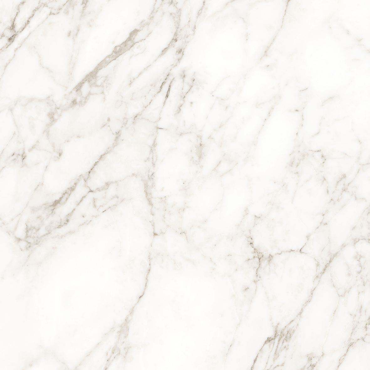 Carrara Immense Белый Полированный 80х80 Ceradim