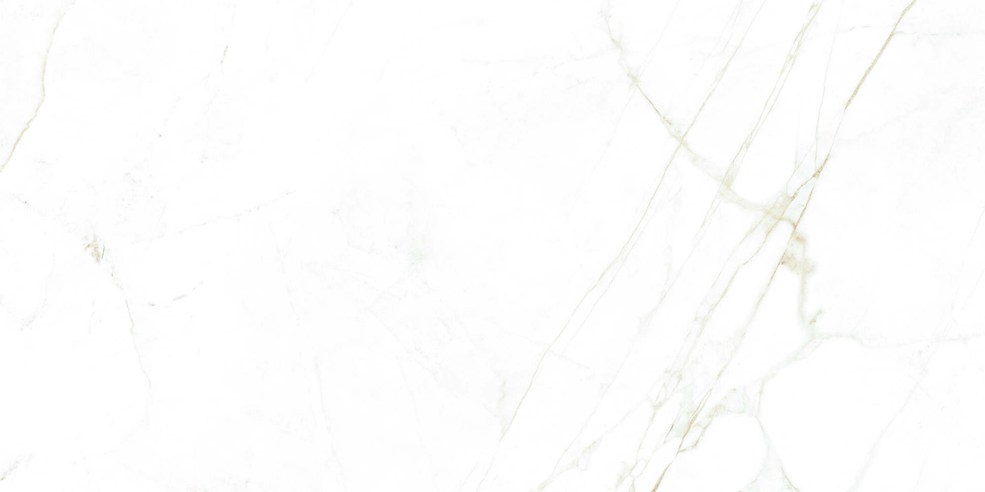 38712 Dual White NT/60X120X0,9/C/R 60x120 Peronda фото 15