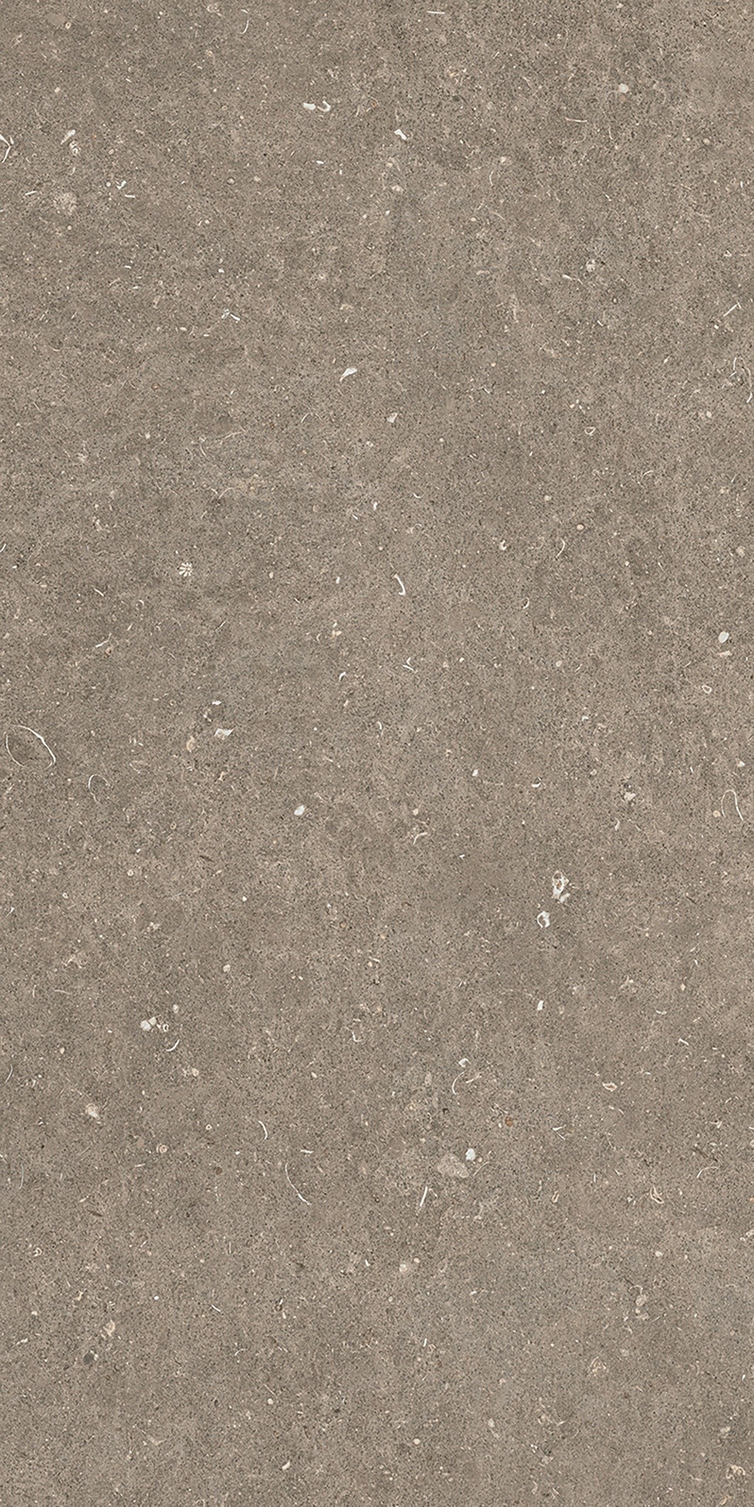 785576 Rinascenza Arena Pietra Matte 6mm 60x120 Casa Dolce Casa фото 7